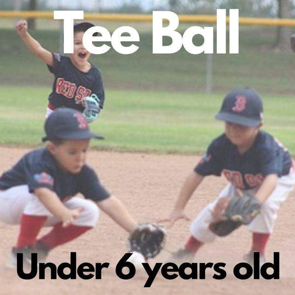 Batter UP! Box - Tee Ball - Sports Box Co